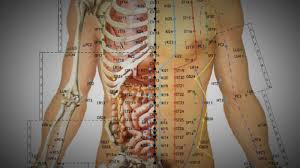 The Science Behind Acupuncture Understanding Its Mechanisms